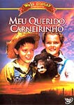 MEU QUERIDO CARNEIRINHO