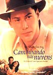CAMINHANDO NAS NUVENS