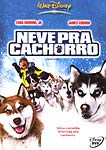 NEVE PRA CACHORRO