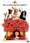 UM CAO DO OUTRO MUNDO