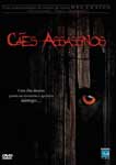CAES ASSASSINOS