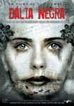 DALIA NEGRA