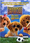 BUD - UMA NOVA CAOFUSAO