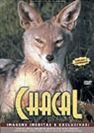 O CHACAL NAO PERDOA   BILHAR