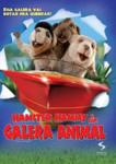 HAMSTER HAMMY - GALERA ANIMAL - DV