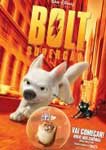 BOLT-SUPERCAO