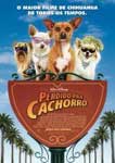 PERDIDO PRA CACHORRO