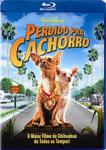 PERDIDO PRA CACHORRO