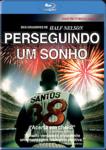 PERSEGUINDO UM SONHO