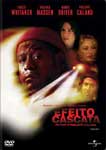 EFEITO CASCATA