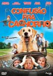 CONFUSAO PRA CACHORRO
