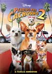 PERDIDO PRA CACHORRO 2