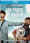 UM PARTO DE VIAGEM