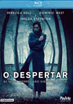 O DESPERTAR