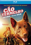 CAO VERMELHO