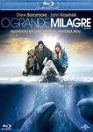O GRANDE MILAGRE