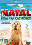 UM NATAL BOM PRA CACHORRO