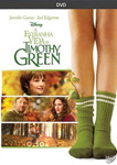 A ESTRANHA VIDA DE TIMOTHY GREEN