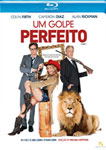 UM GOLPE PERFEITO