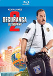 SEGURANCA DE SHOPPING 2