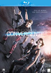A SERIE DIVERGENTE-CONVERGENTE