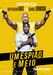 UM ESPIAO E MEIO