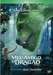 MEU AMIGO, O DRAGAO