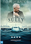 SULLY-O HEROI DO RIO HUDSON