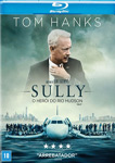 SULLY-O HEROI DO RIO HUDSON