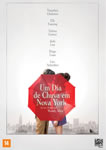 UM DIA DE CHUVA EM NOVA YORK